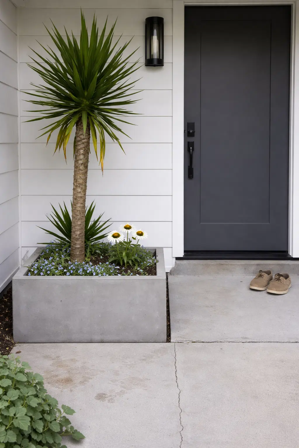 ### 21. Concrete Planter With Yucca and Daisies