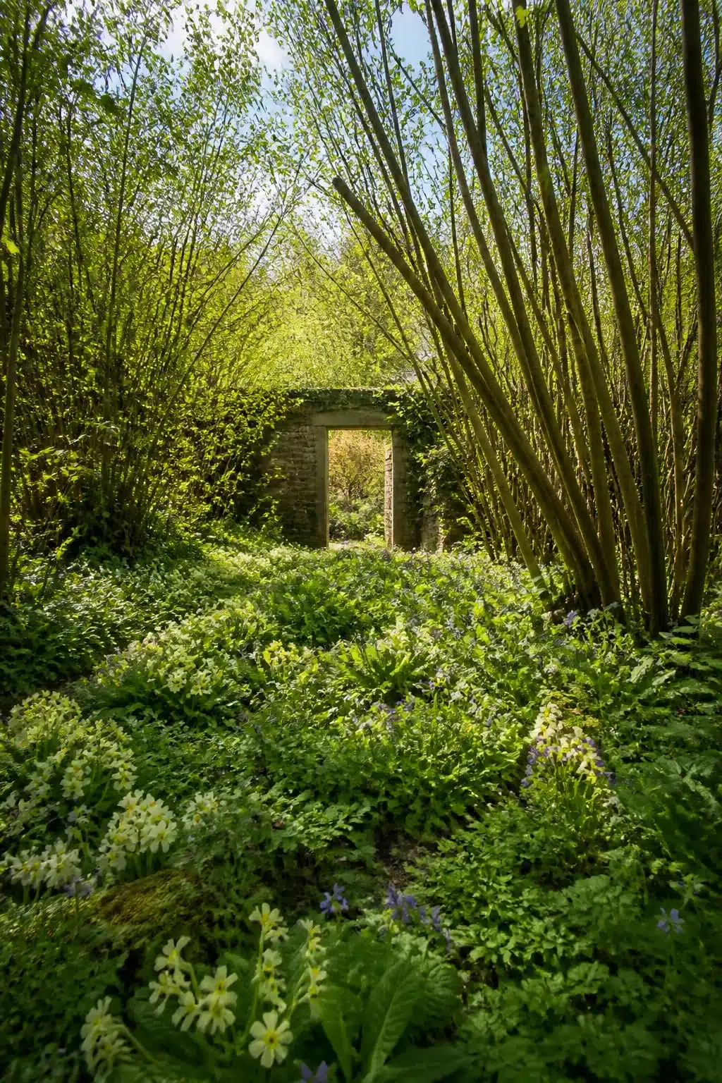 Stone archway framed by hazel coppice stems and naturalistic fern planting in an English woodland garden