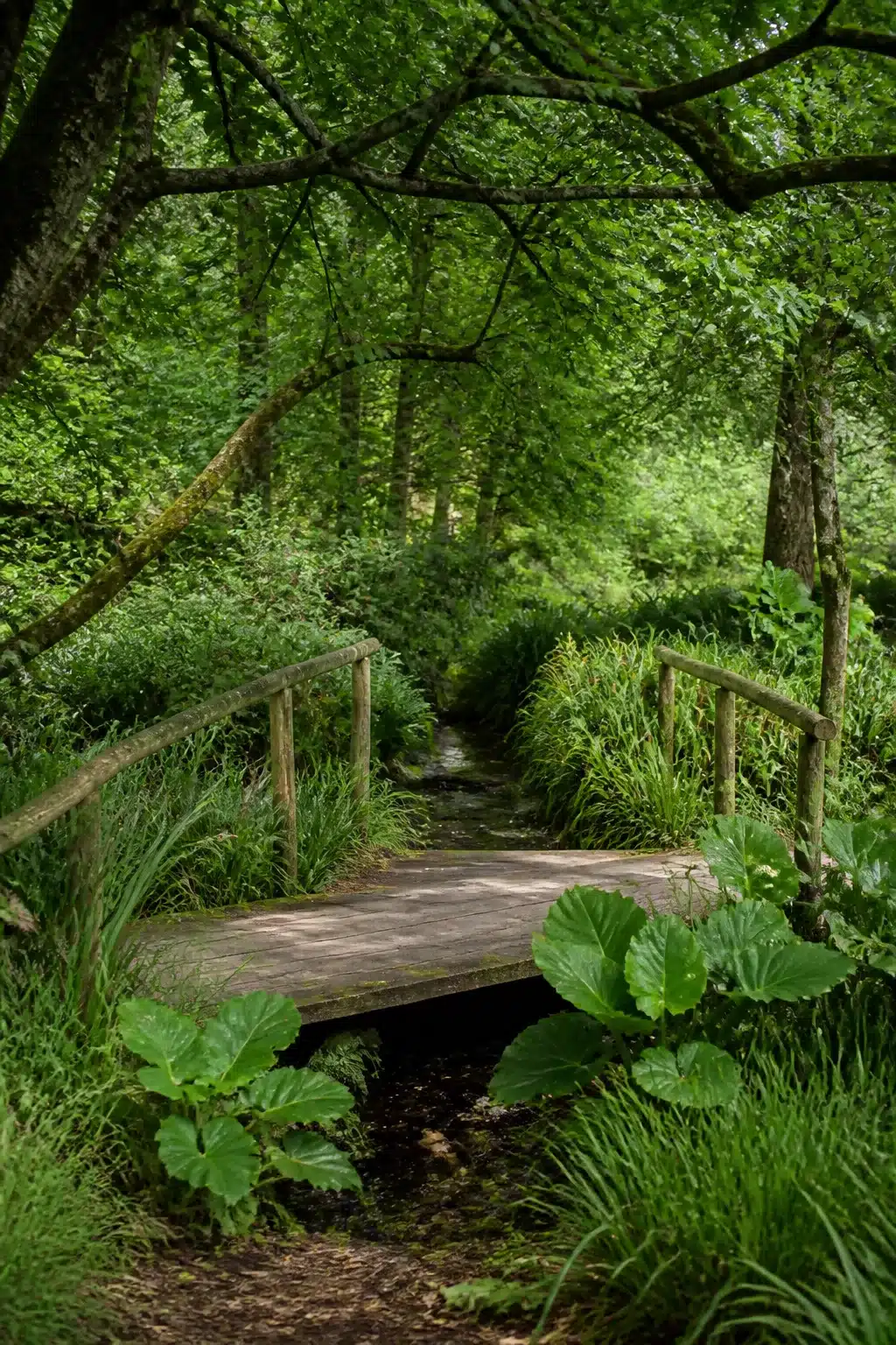Rustic timber footbridge over a woodland stream surrounded by native plants in an English woodland garden