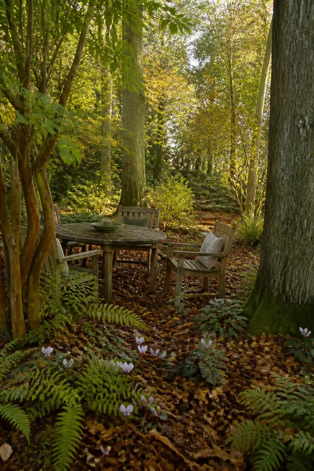 Weathered teak dining set in an English woodland garden with autumn leaf mulch floor, ferns, and wild cyclamen.