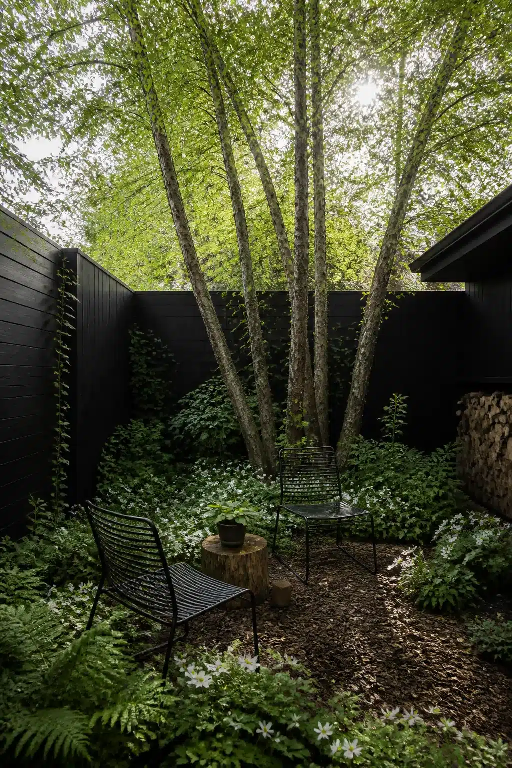Multi-stem birch tree in a black-walled woodland courtyard garden with wire chairs and bark mulch floor.