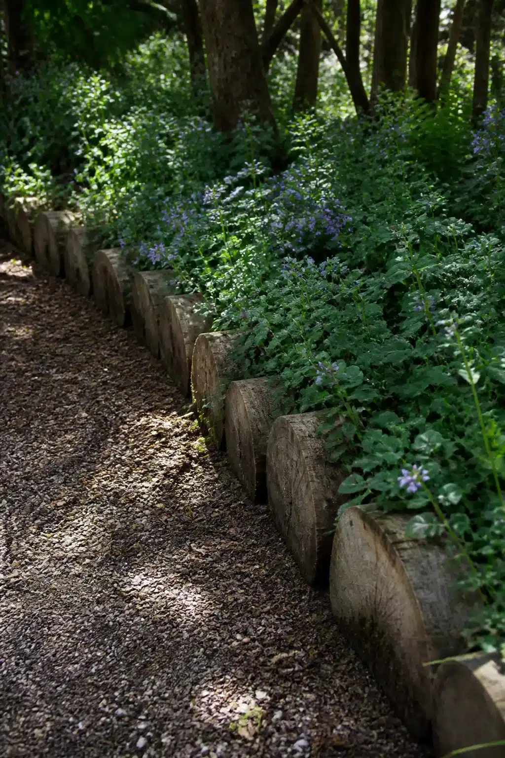Half-log rounds edging a gravel woodland garden path — natural Woodland Garden Edging Ideas using split timber.