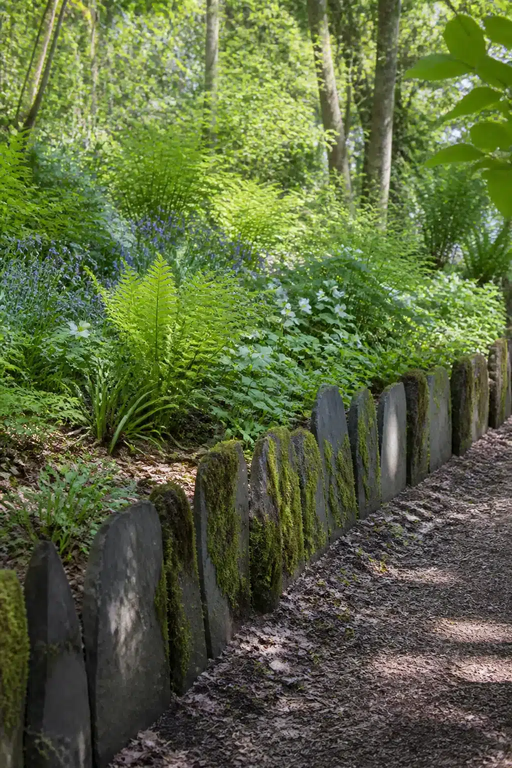Upright moss-covered slate slab edging along a woodland garden path — natural woodland garden edging ideas