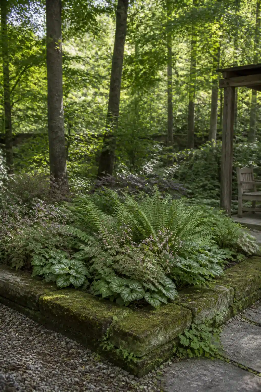Moss-covered stone raised bed with ferns and shade perennials in a naturalistic woodland garden setting.