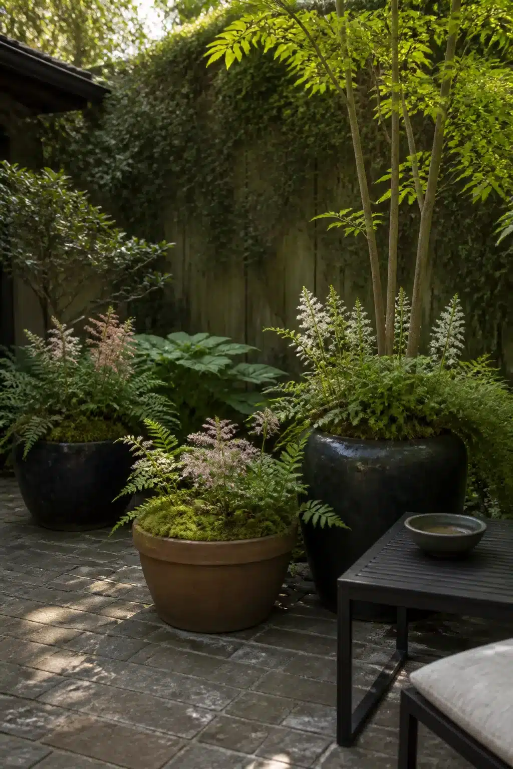 Dark glazed pots with ferns and astilbe on a brick patio — woodland gardens for small gardens container idea.