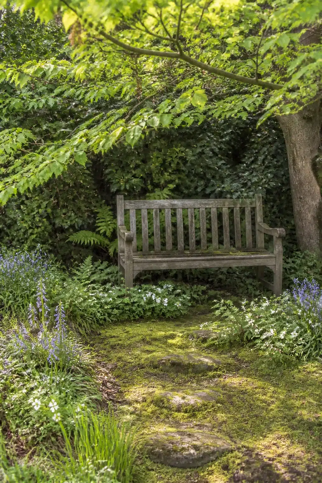 Weathered bench under tree canopy with bluebells and ferns — Woodland Gardens For Small Gardens seating nook idea