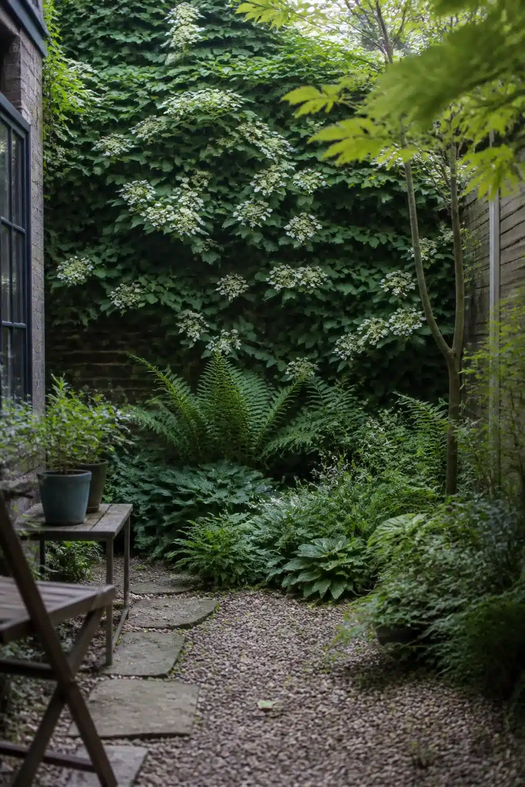 Climbing hydrangea on shady brick wall with ferns and gravel path — woodland garden for small gardens