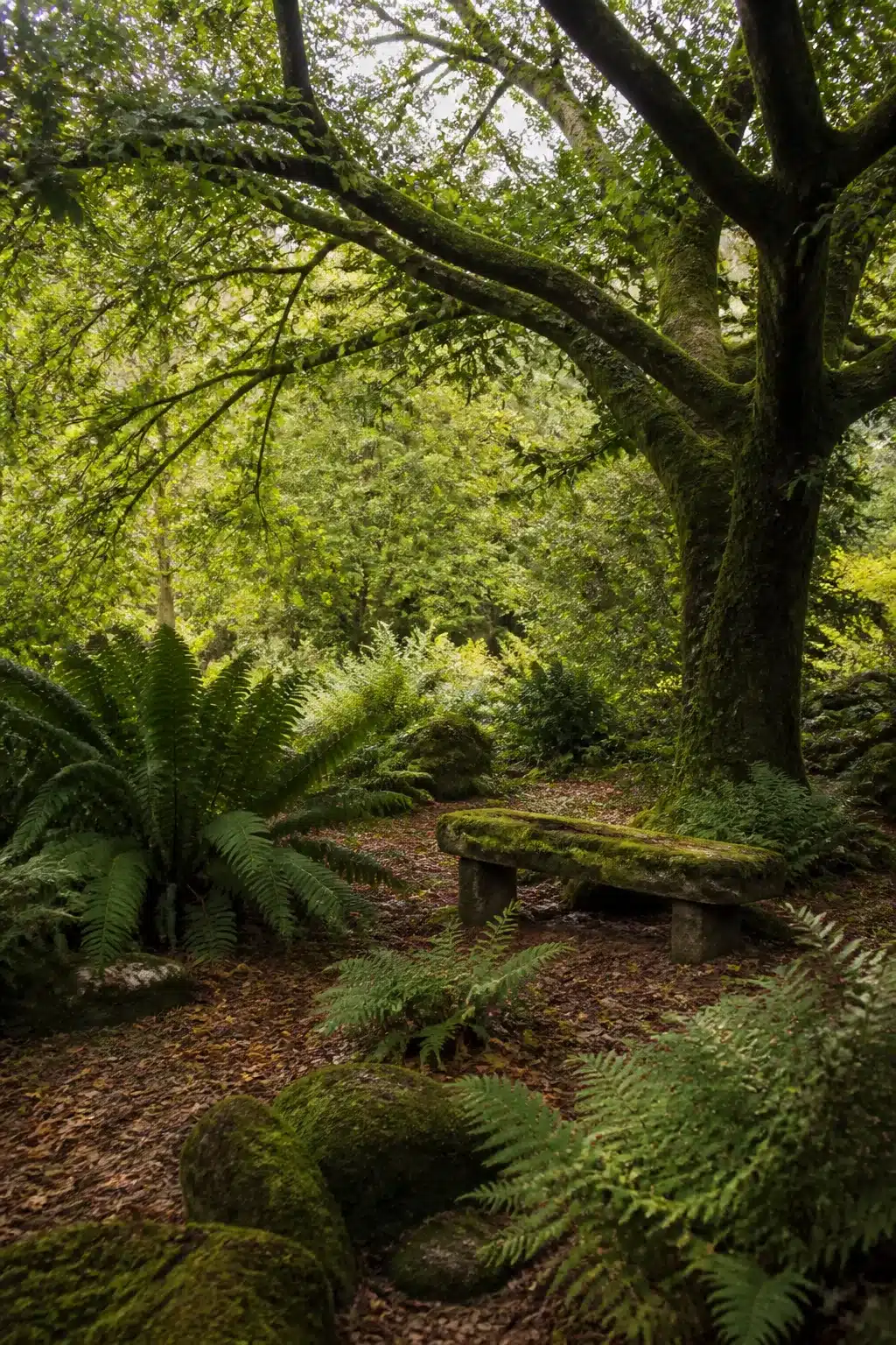 Moss-covered stone bench surrounded by ferns and trees — woodland gardens with benches inspiration