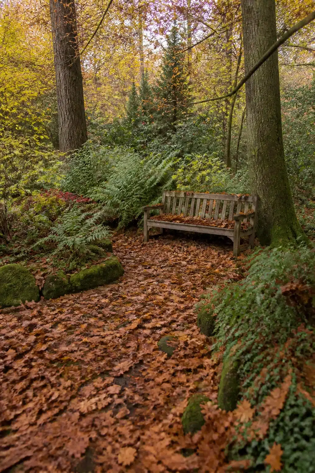 Weathered teak bench between tree trunks covered in fallen oak leaves in a woodland garden with benches