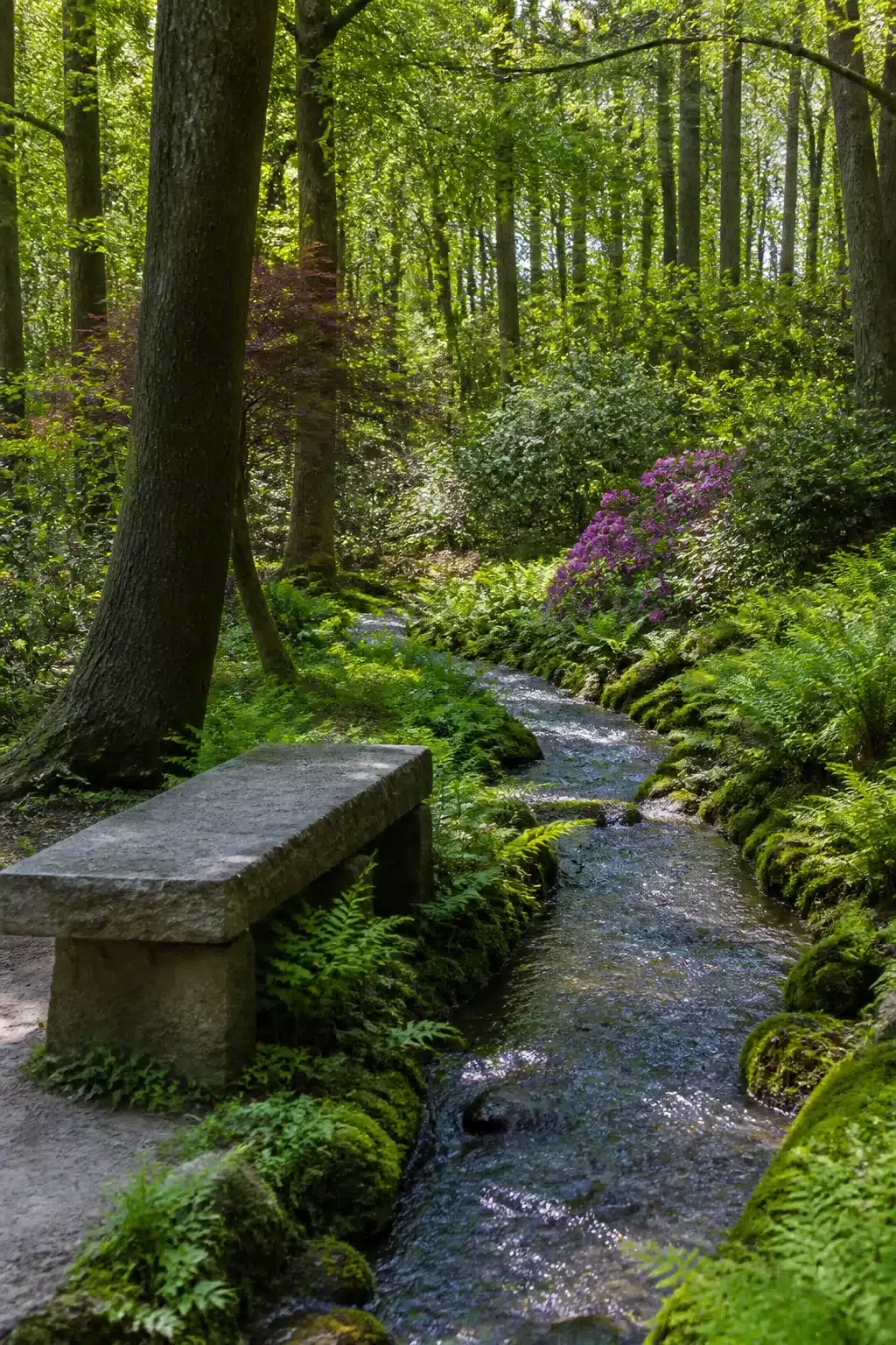 Granite slab bench beside a mossy stream in a lush woodland garden with ferns and rhododendrons — Woodland Gardens With Benches