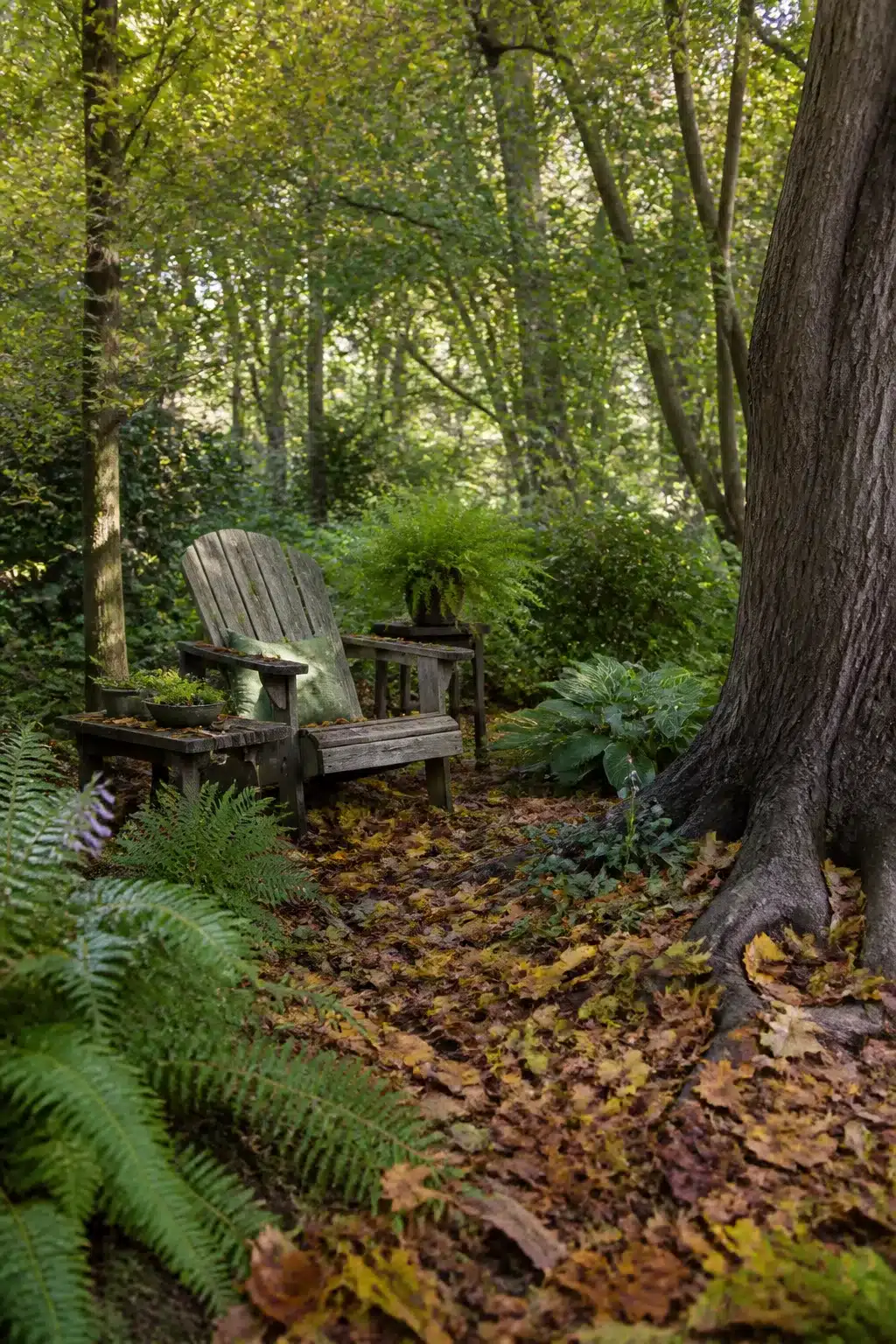 Weathered Adirondack chair surrounded by fallen oak leaves and ferns in a woodland shade garden under dense tree canopy.