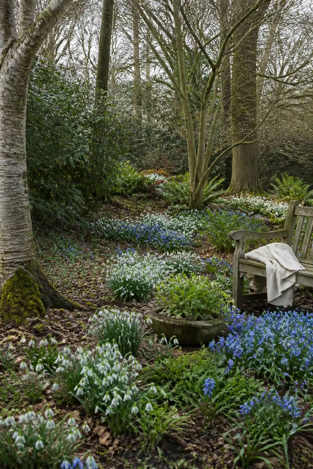 Snowdrop and blue scilla bulb drifts under bare trees in a woodland shade garden with a weathered bench.