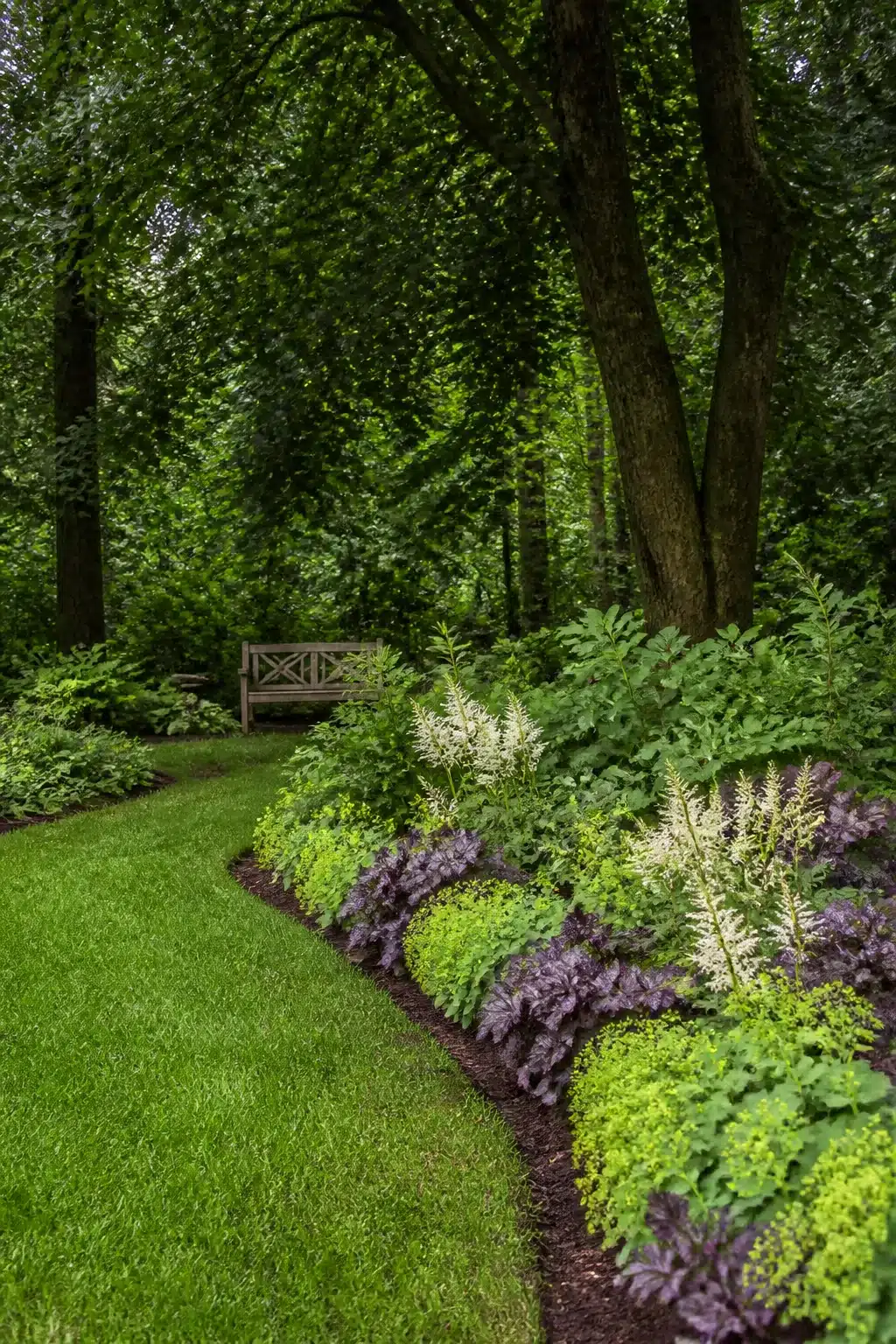 Dark bark mulch shade garden border with heuchera and astilbe under tree canopy — woodland shade gardens idea