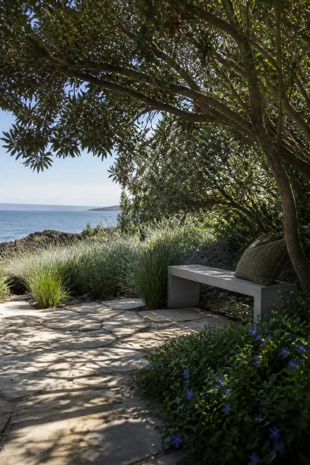 Concrete bench under tuckeroo canopy with coastal grasses and sea view — Australian coastal garden design