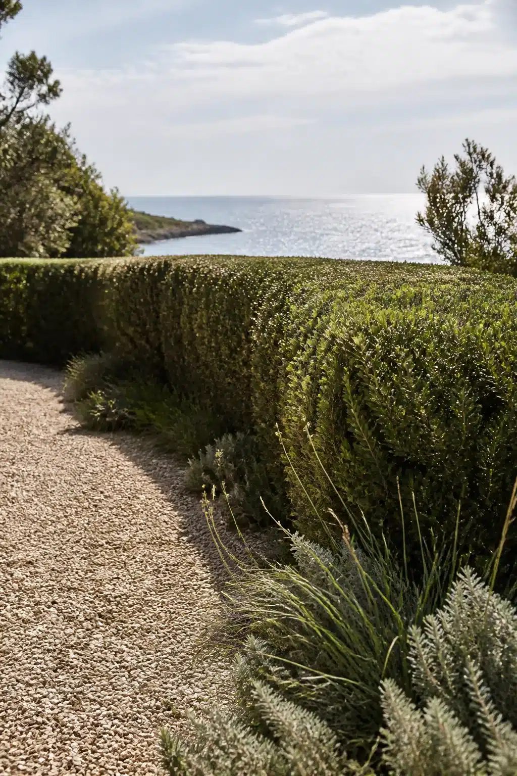 Clipped native hedge and gravel path in an Australian coastal garden with ocean views in the background.