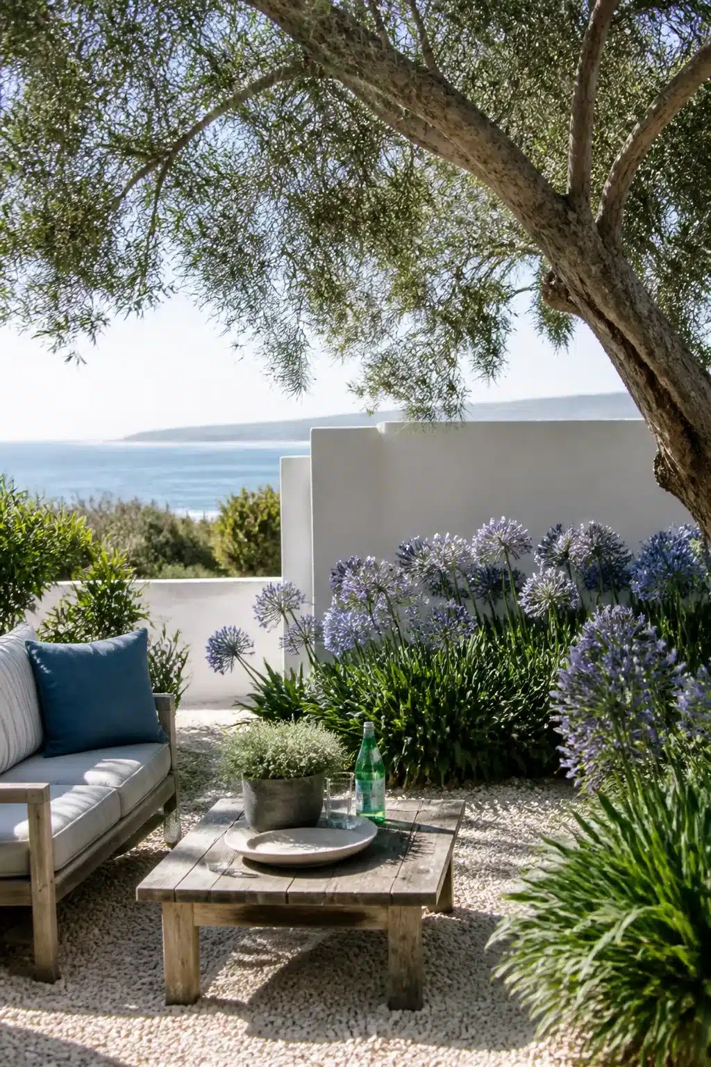 White render wall courtyard with agapanthus and gravel in an Australian coastal garden overlooking the ocean