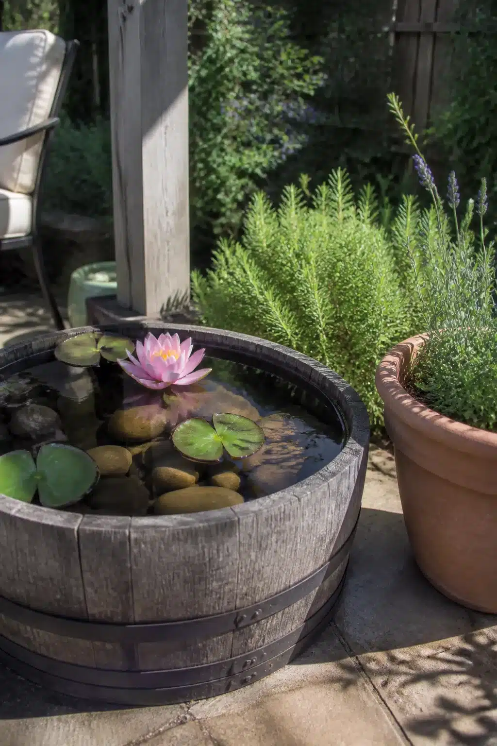 Half barrel mini water garden with pink water lily — easy backyard idea on a budget using a wine barrel