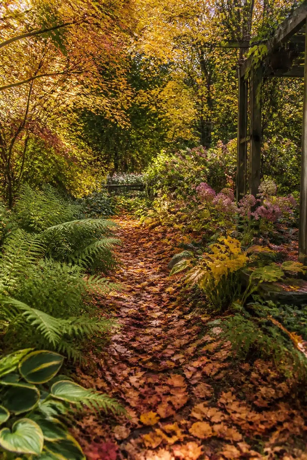 Leaf-covered garden path lined with ferns and hostas in autumn — fall garden ideas for woodland spaces