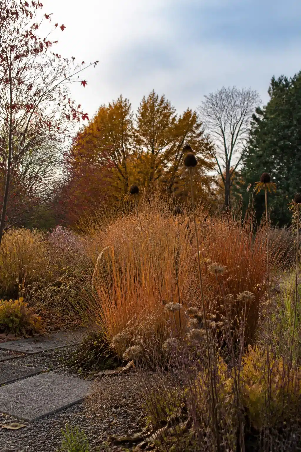 Native prairie patch with little bluestem grass and echinacea seedheads — fall garden ideas for naturalistic planting