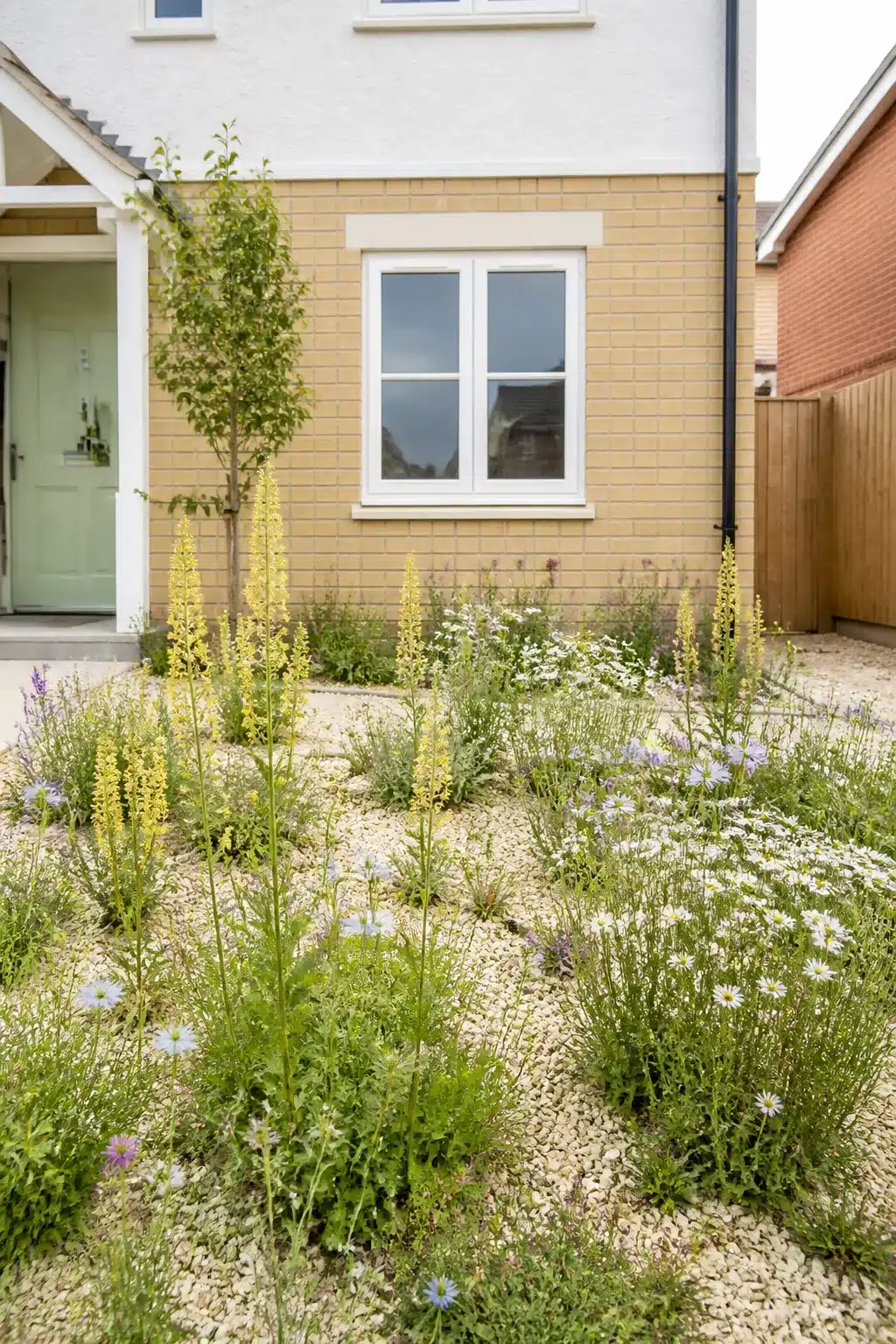 Pale gravel front garden with verbascum and daisy cottage planting on a new build house — new build cottage garden idea