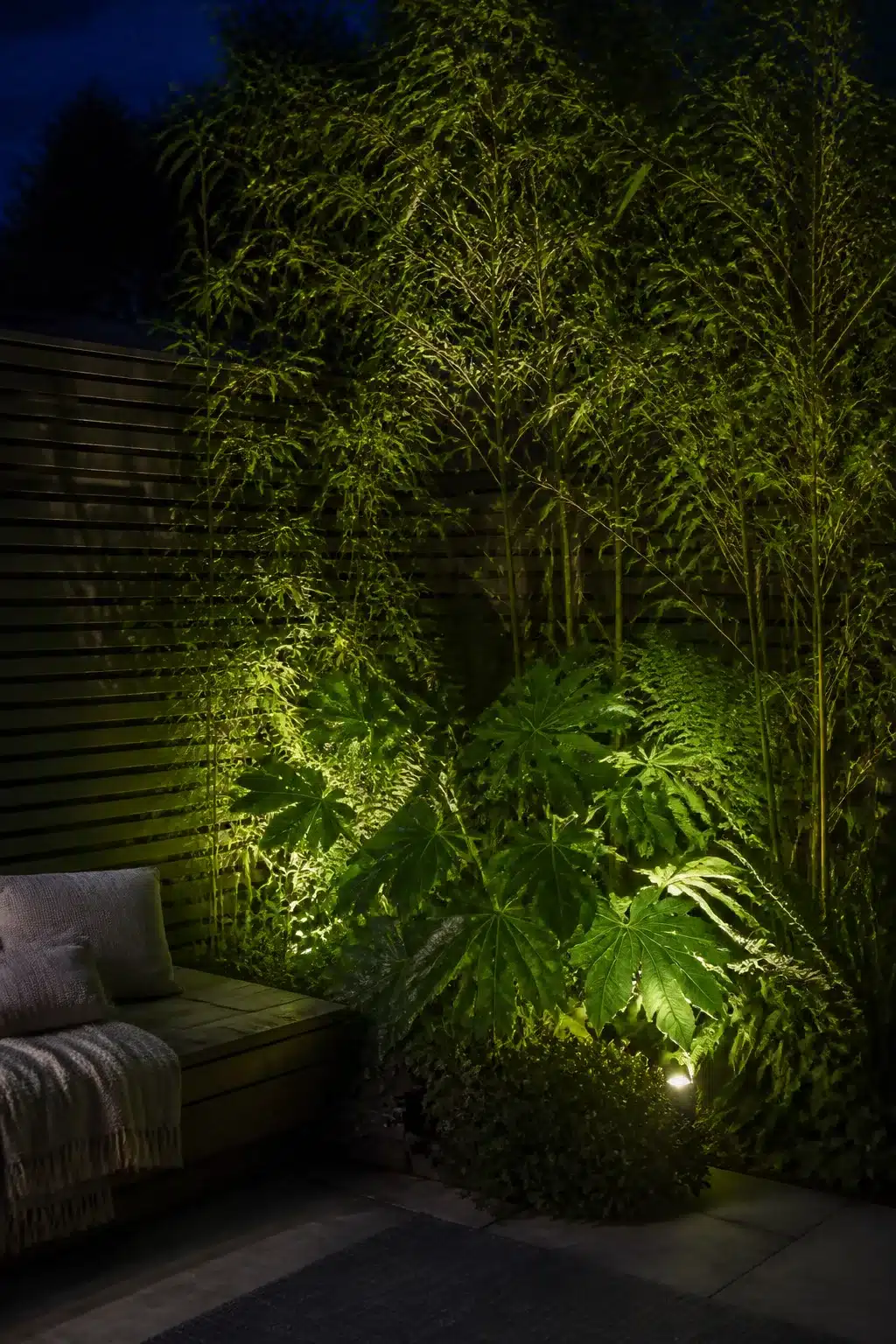 North facing garden ideas with ground uplights illuminating fatsia and bamboo planting at night