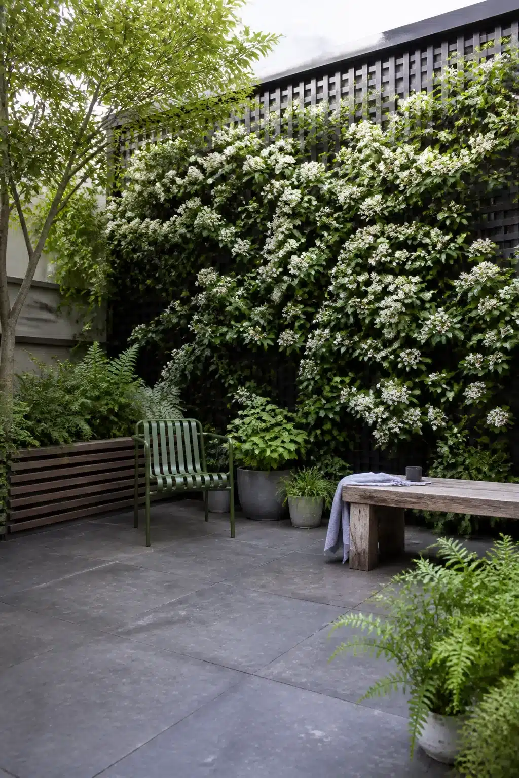 North facing garden ideas with white climbing flowers on dark trellis, gray paving, and shade-tolerant planting design.
