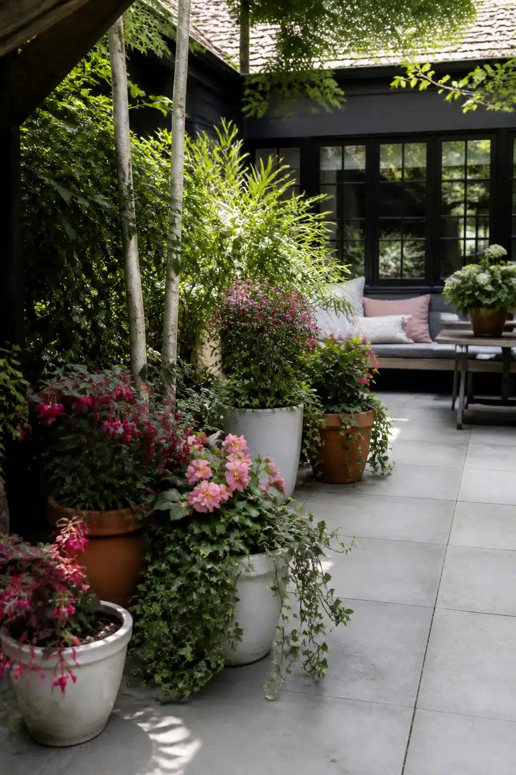 North facing garden ideas with mixed container planting, trailing ivy, pink blooms, and dark painted exterior walls.