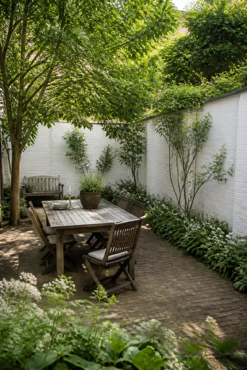 White painted brick walls brightening a shaded north facing garden with teak dining table and shade planting