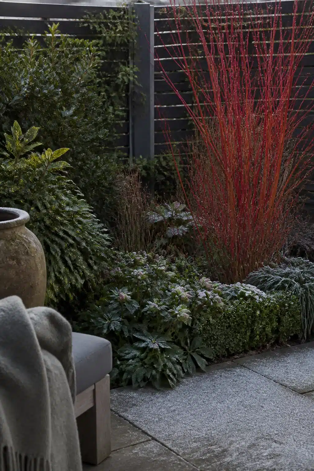 North facing garden ideas with red dogwood stems, hellebores, and layered shade planting in a winter border design.