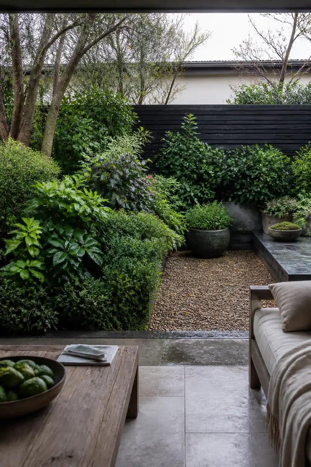 North facing garden ideas with glossy dark foliage layers, gravel beds, and black timber fence in shade garden design