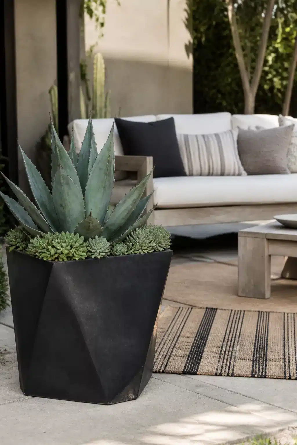 Outdoor succulent garden pots — dark geometric matte black planter with agave and rosette succulents on a modern patio