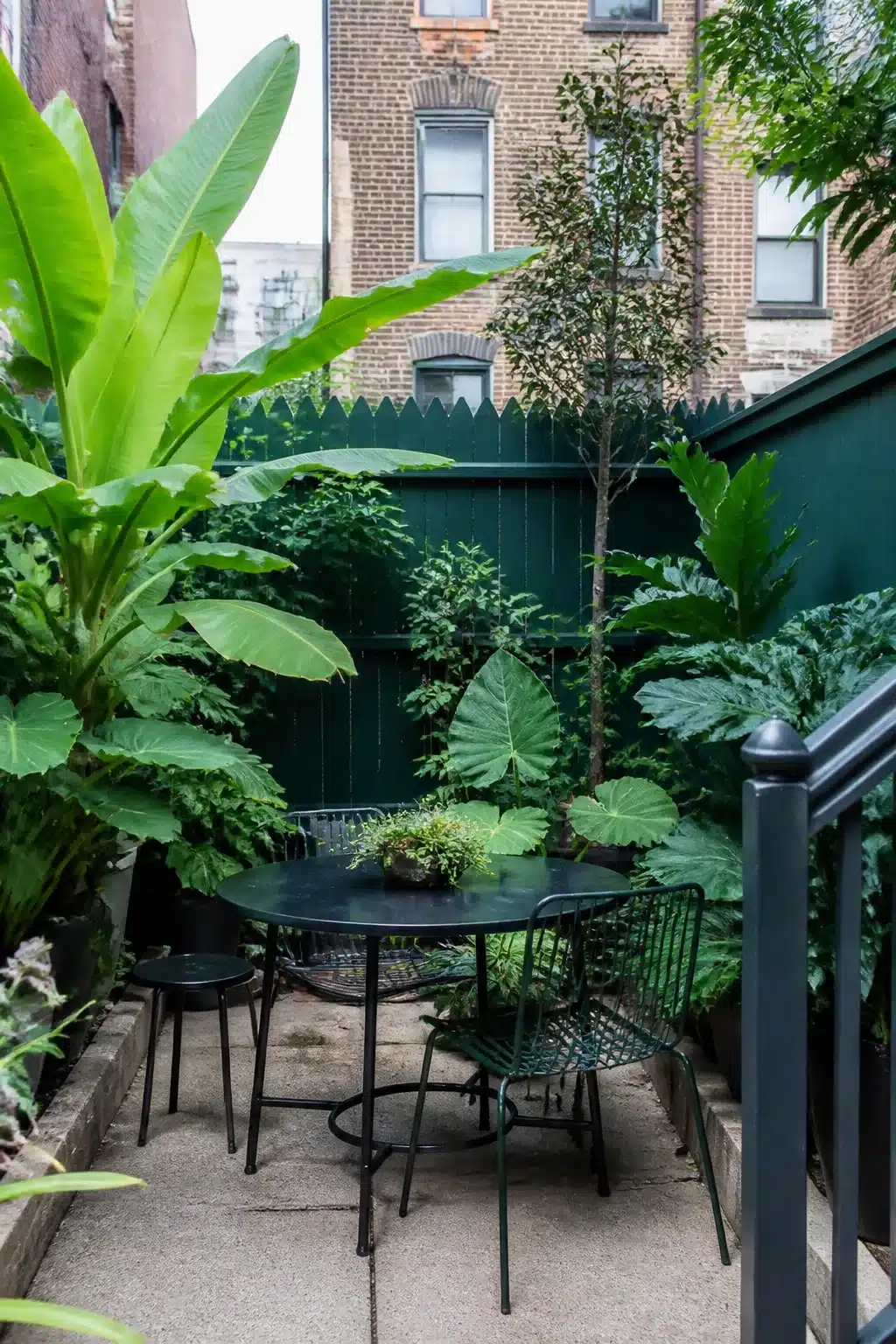 Small city garden with dark green fence, banana plants, elephant ears, and black bistro table in urban backyard