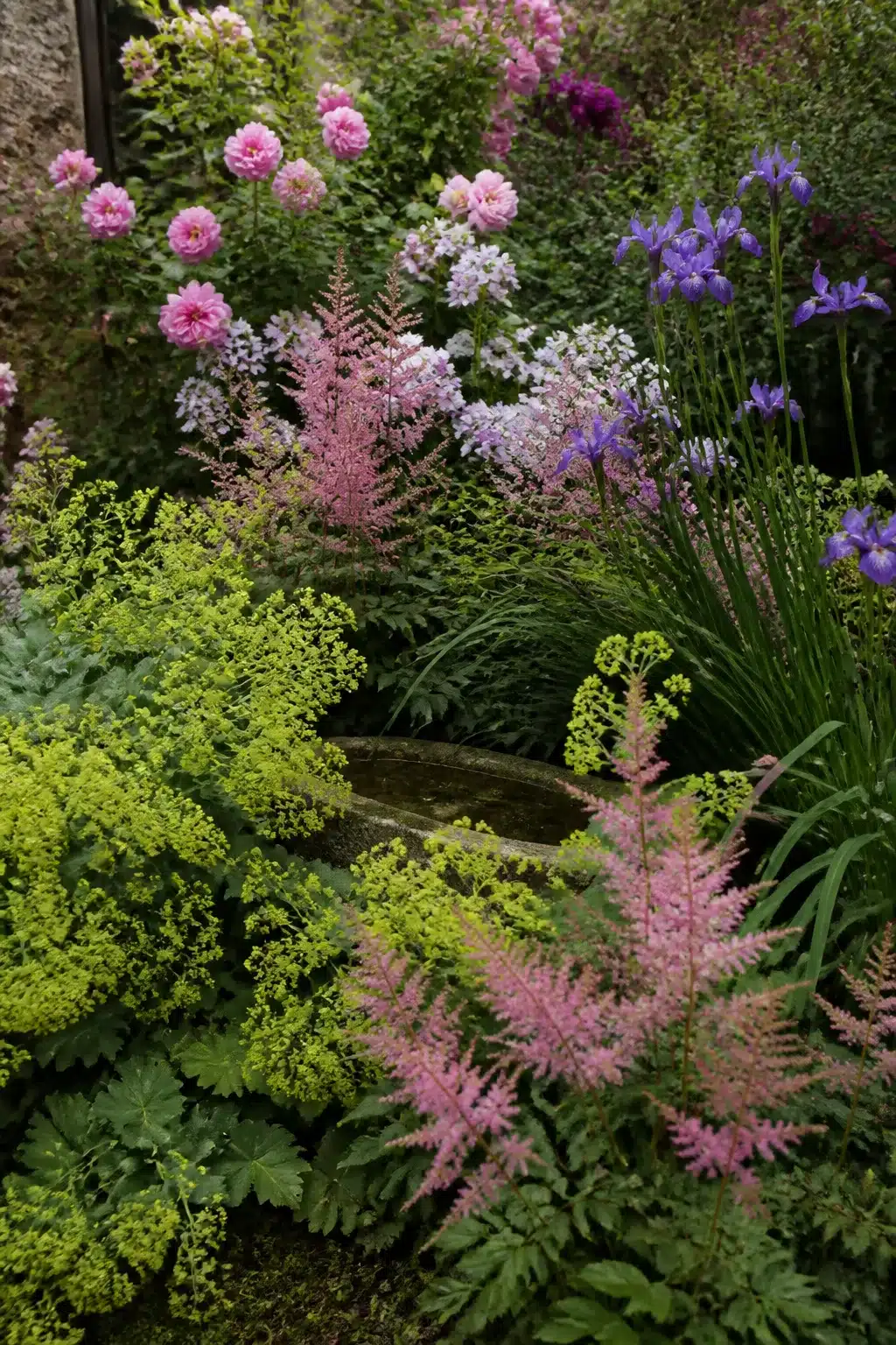 Stone basin water feature surrounded by astilbe and lady's mantle in a small cottage garden with iris and dahlias