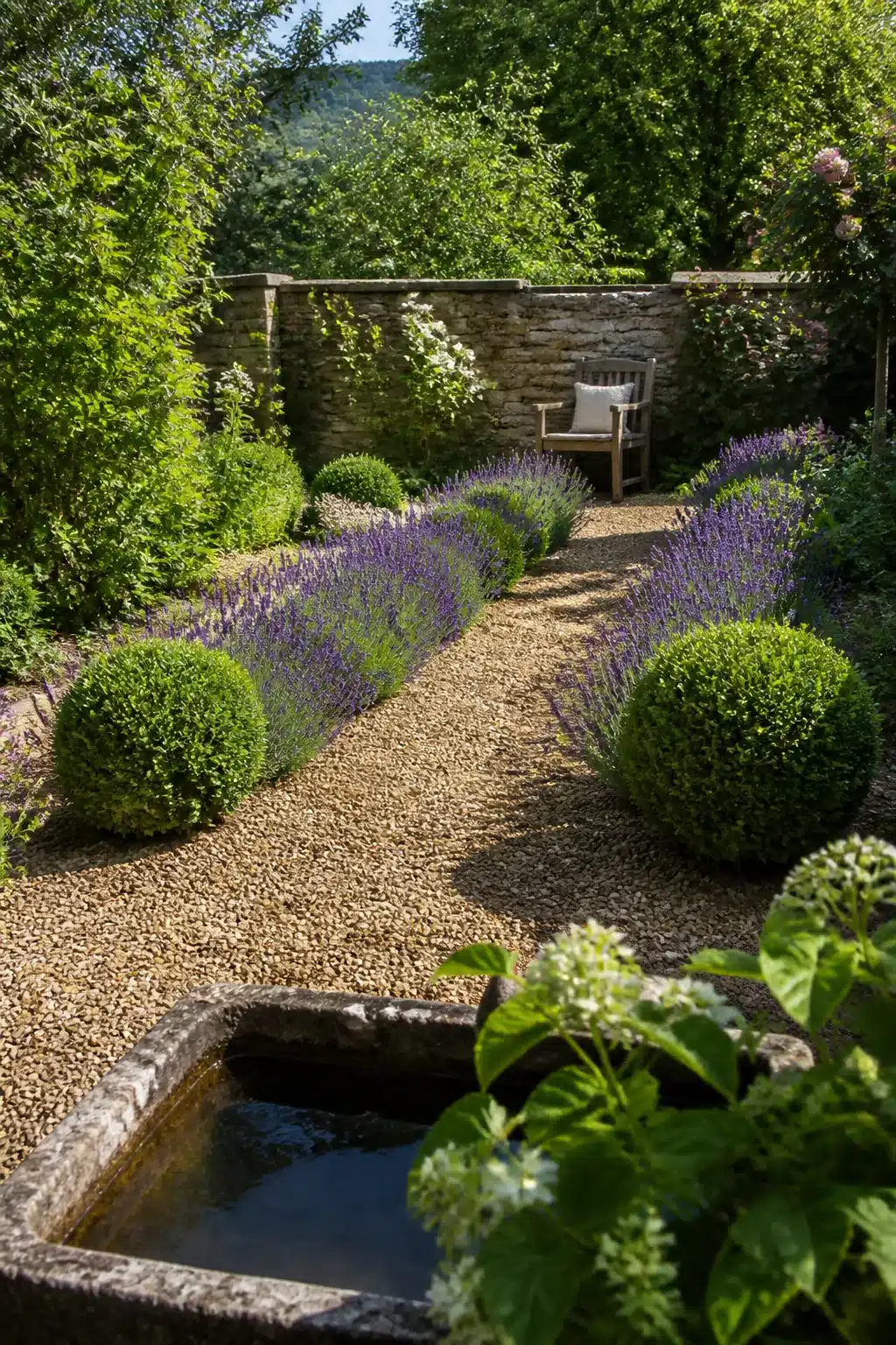 Gravel path with lavender rows and box balls in a small English garden with a stone trough and bench