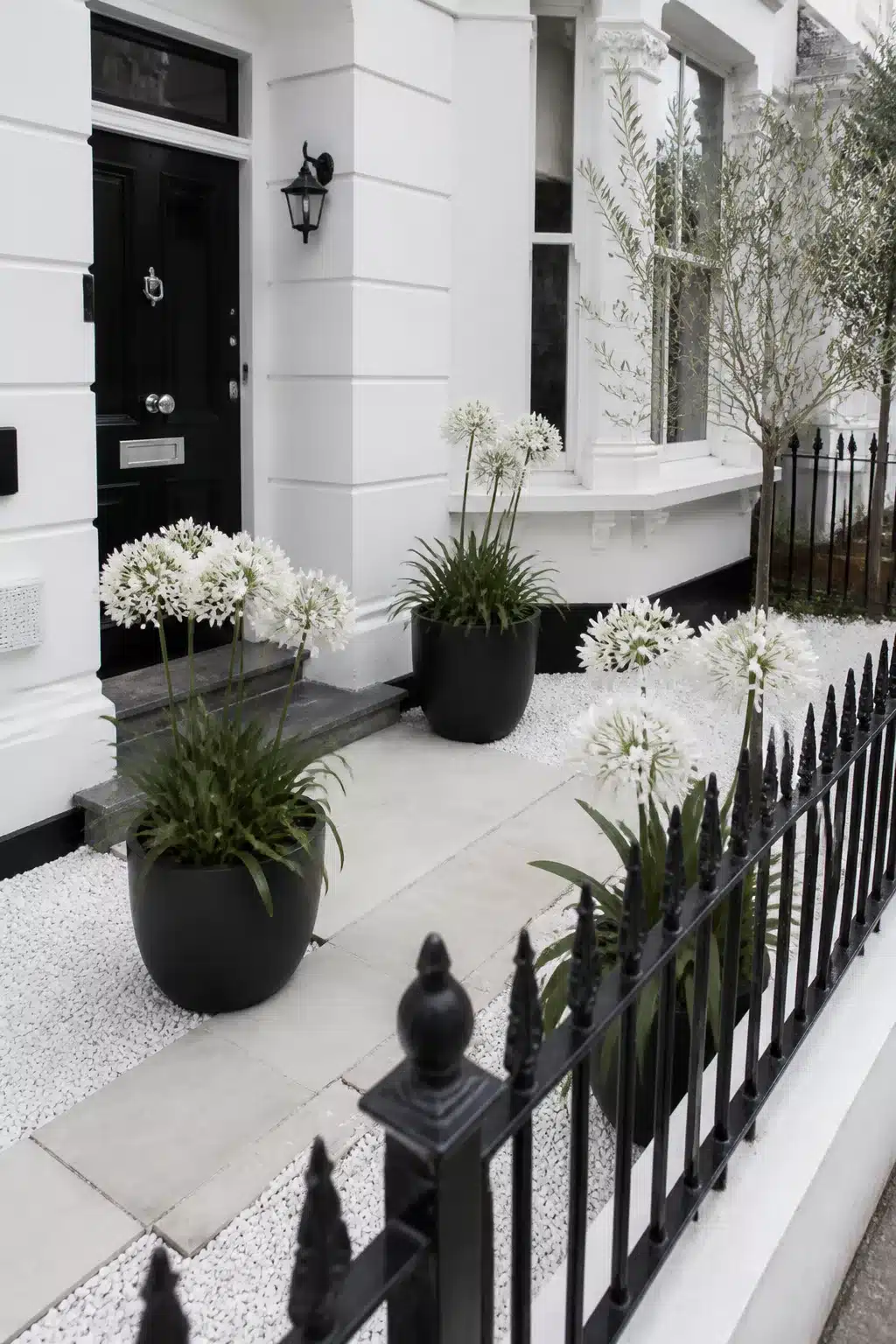 Small front garden with black round planters, white agapanthus blooms, pea gravel and black iron railings by white facade.