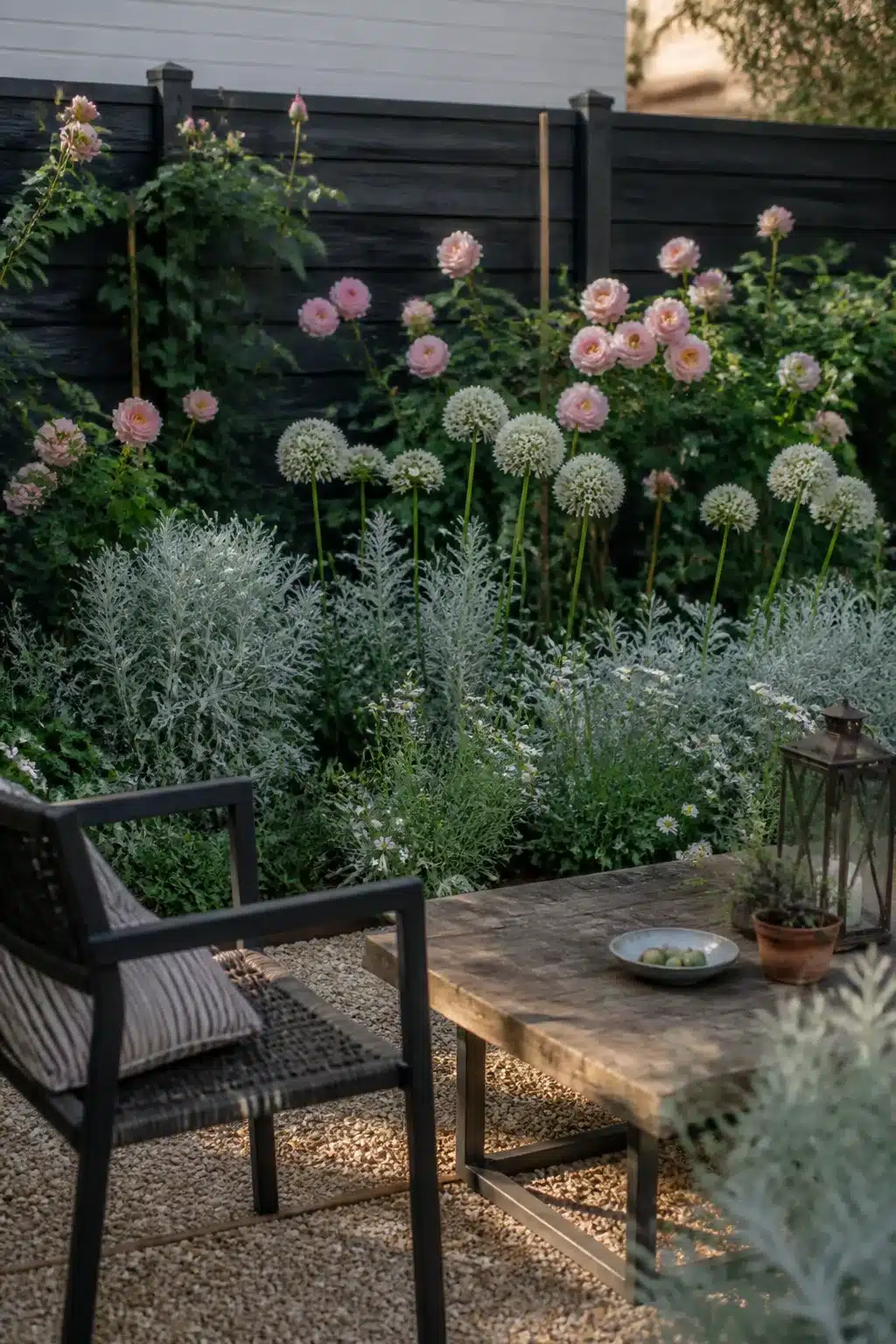 Small garden ideas: dark painted fence with pale alliums, blush dahlias and silver foliage in a gravel courtyard.