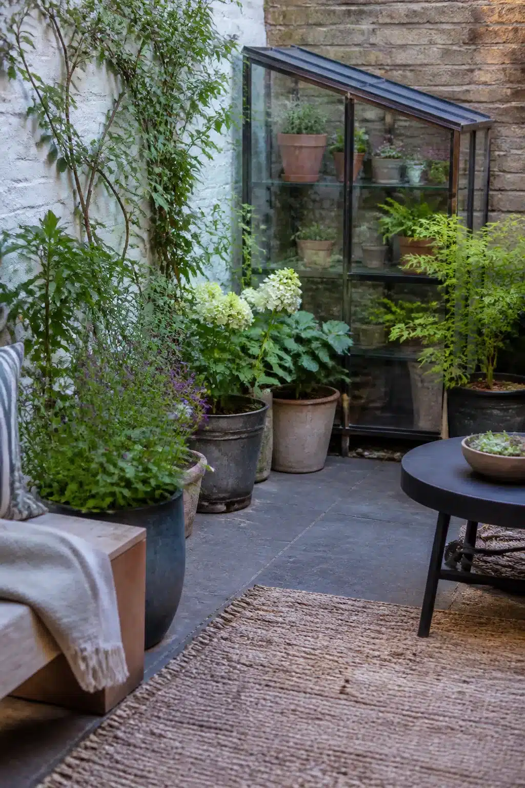 Small garden ideas with a lean-to glass cabinet, slate paving, and potted hydrangeas in a brick courtyard