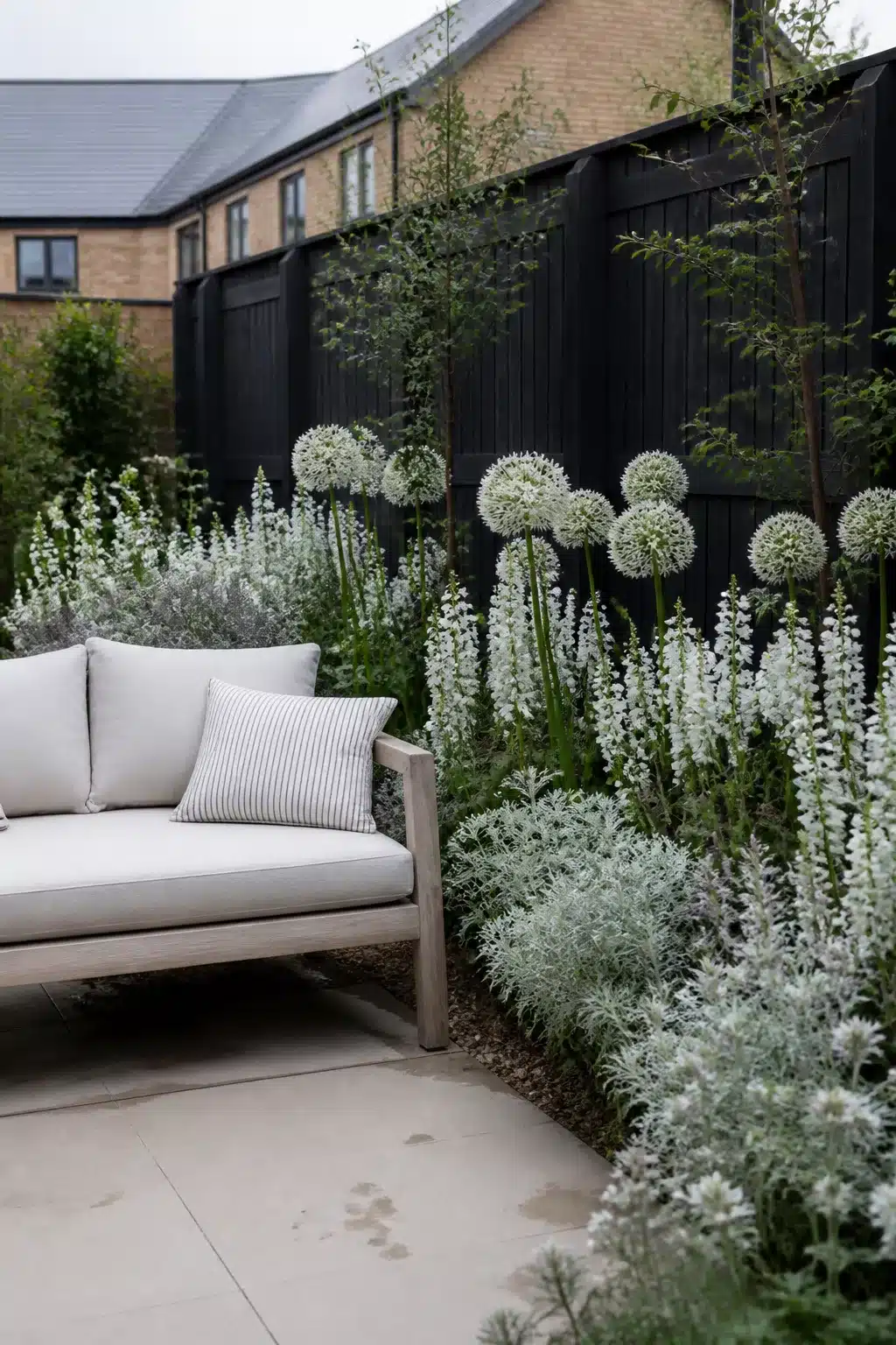 Small new build garden with black fence, white alliums, silver foliage border and pale teak sofa — monochrome planting idea