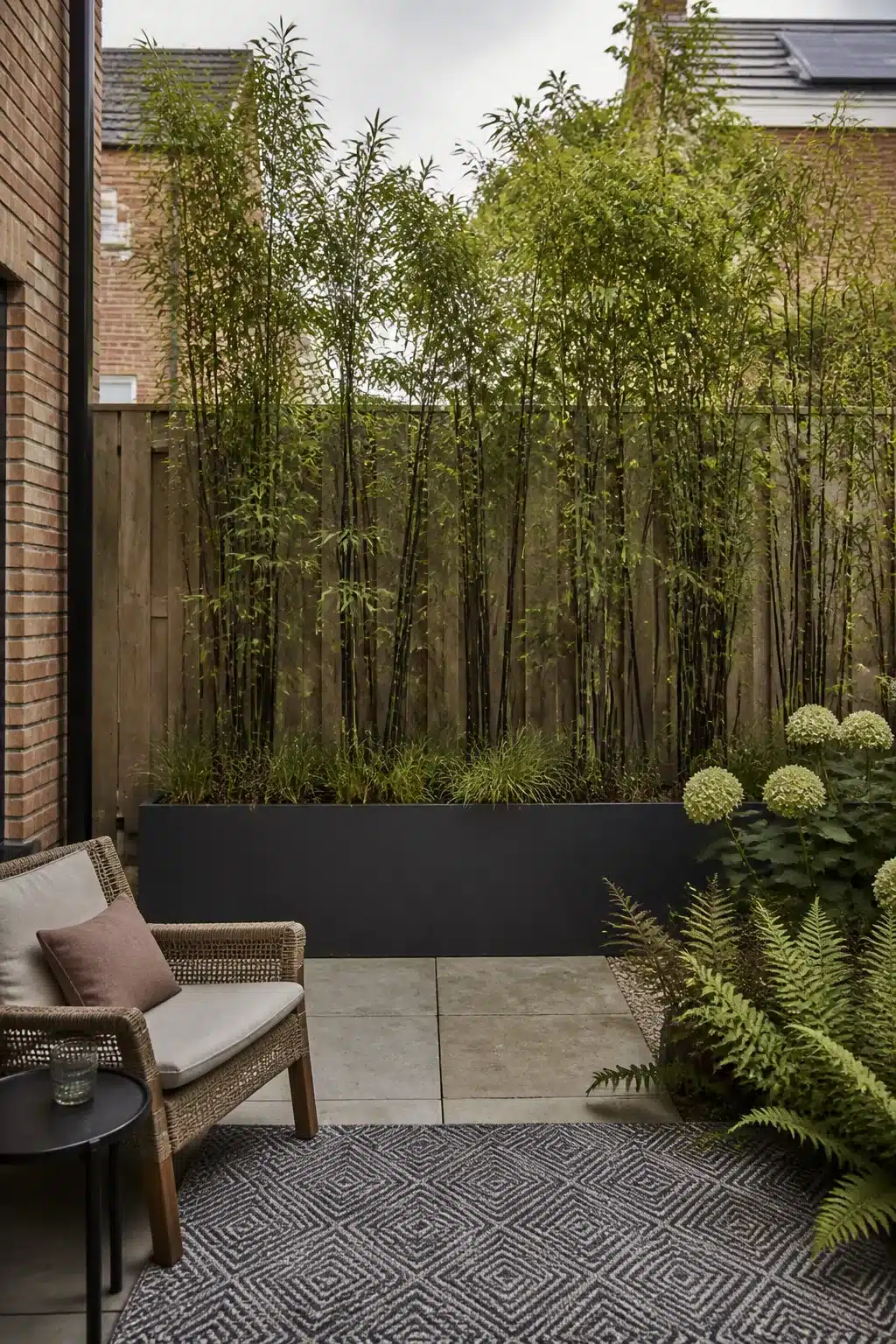Small new build garden with black trough planter, tall bamboo privacy screen, rattan chair and patterned outdoor rug