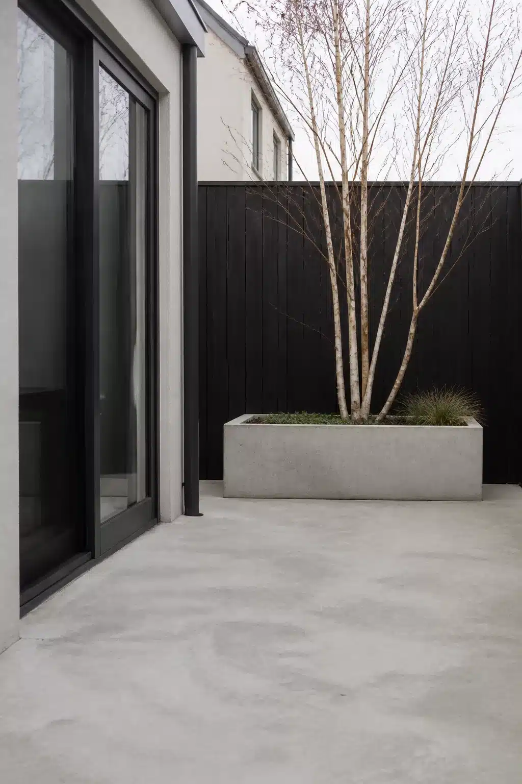 Small new build garden with poured concrete floor, large concrete trough planter and multi-stem birch tree against black fence