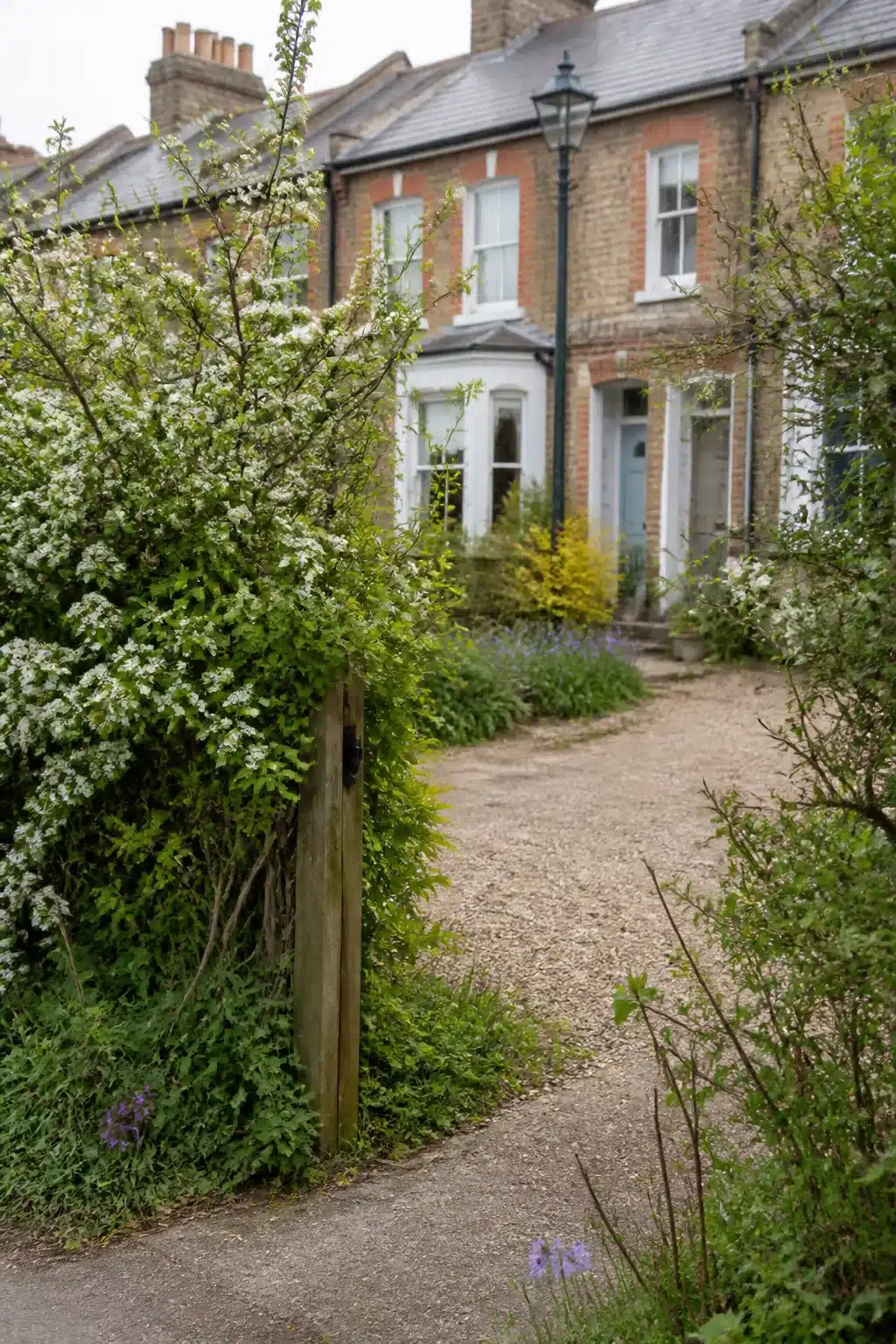 Gravel path edged with hedgerow-style wildlife-friendly planting in a naturalistic front garden — Wildlife Front Gardens