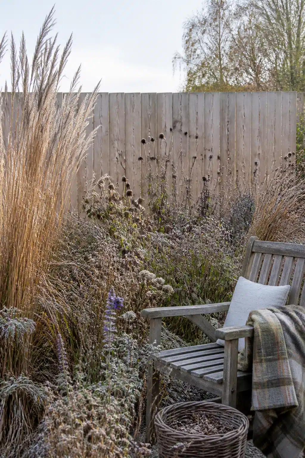 Frost-covered ornamental grasses and seedhead border with teak garden chair — Wildlife Garden Ideas