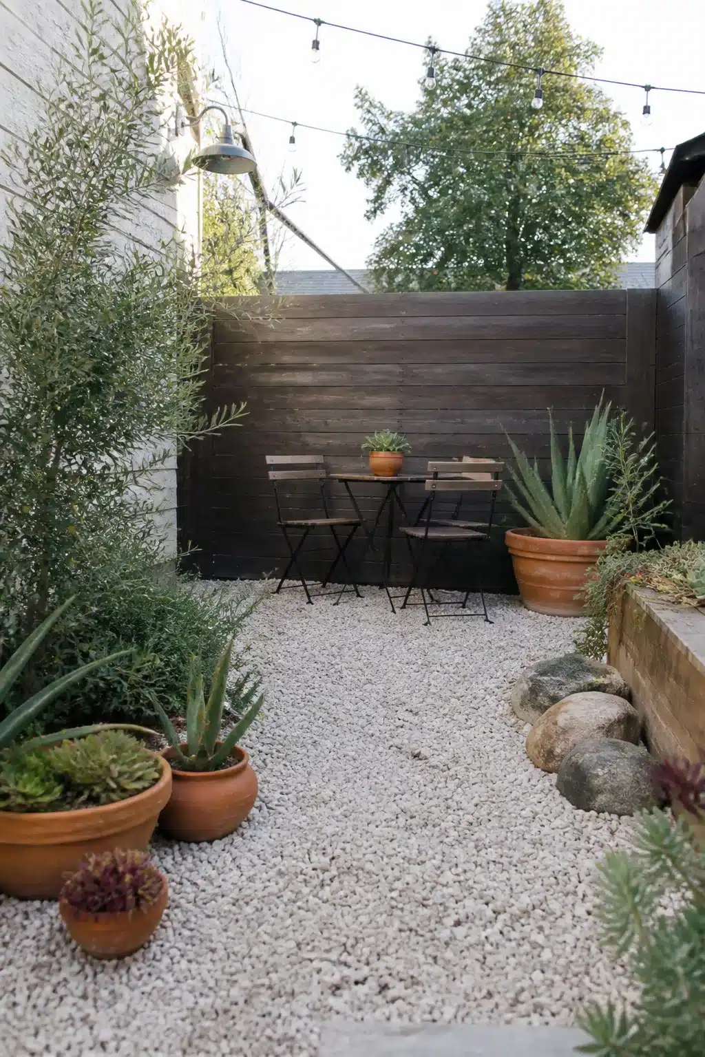Small urban xeriscape backyard with dark wood fence, bistro table, string lights, and drought-tolerant succulents in terracotta pots.