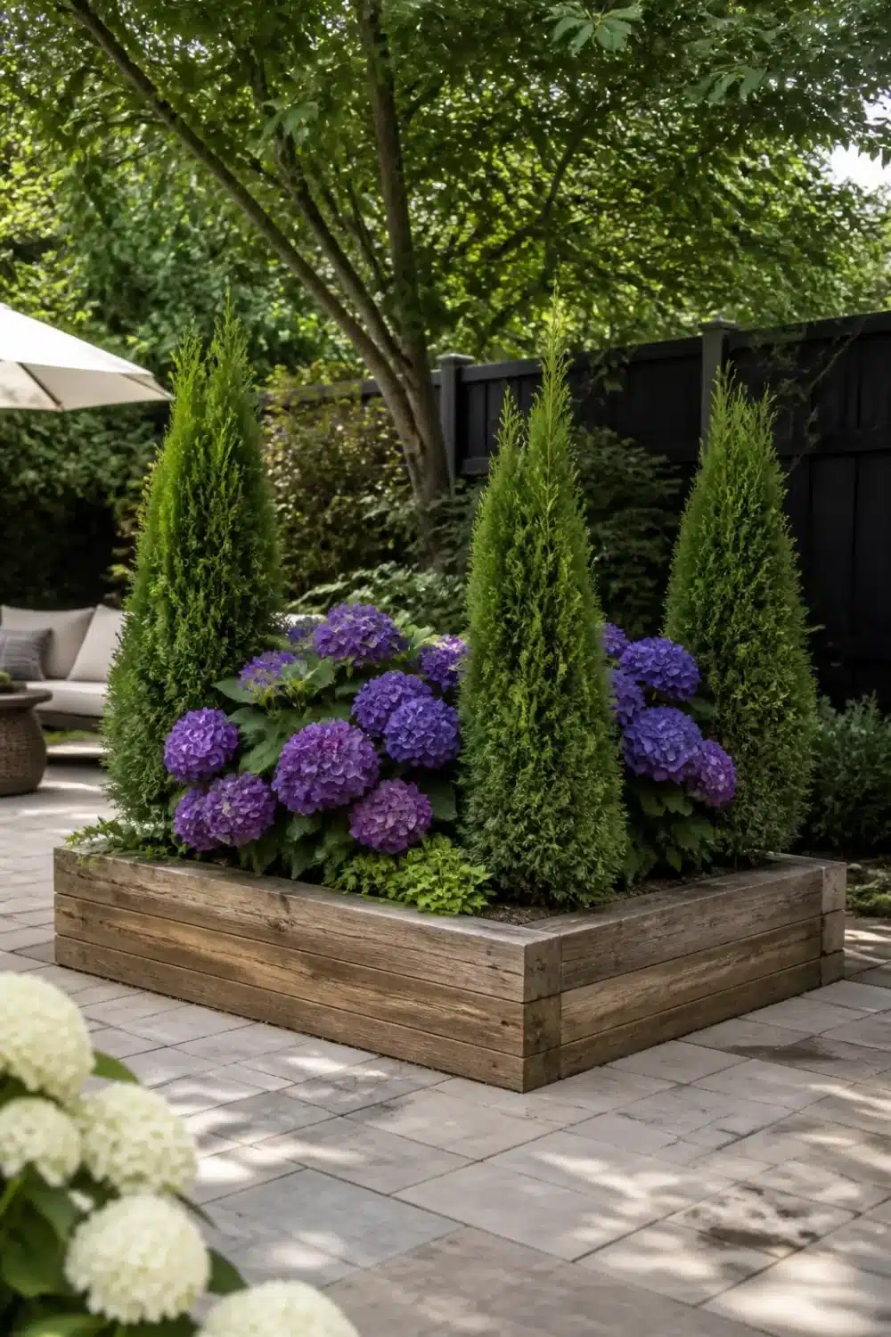 Arborvitae and hydrangea landscaping in a rustic wood raised bed planter on a paver patio.