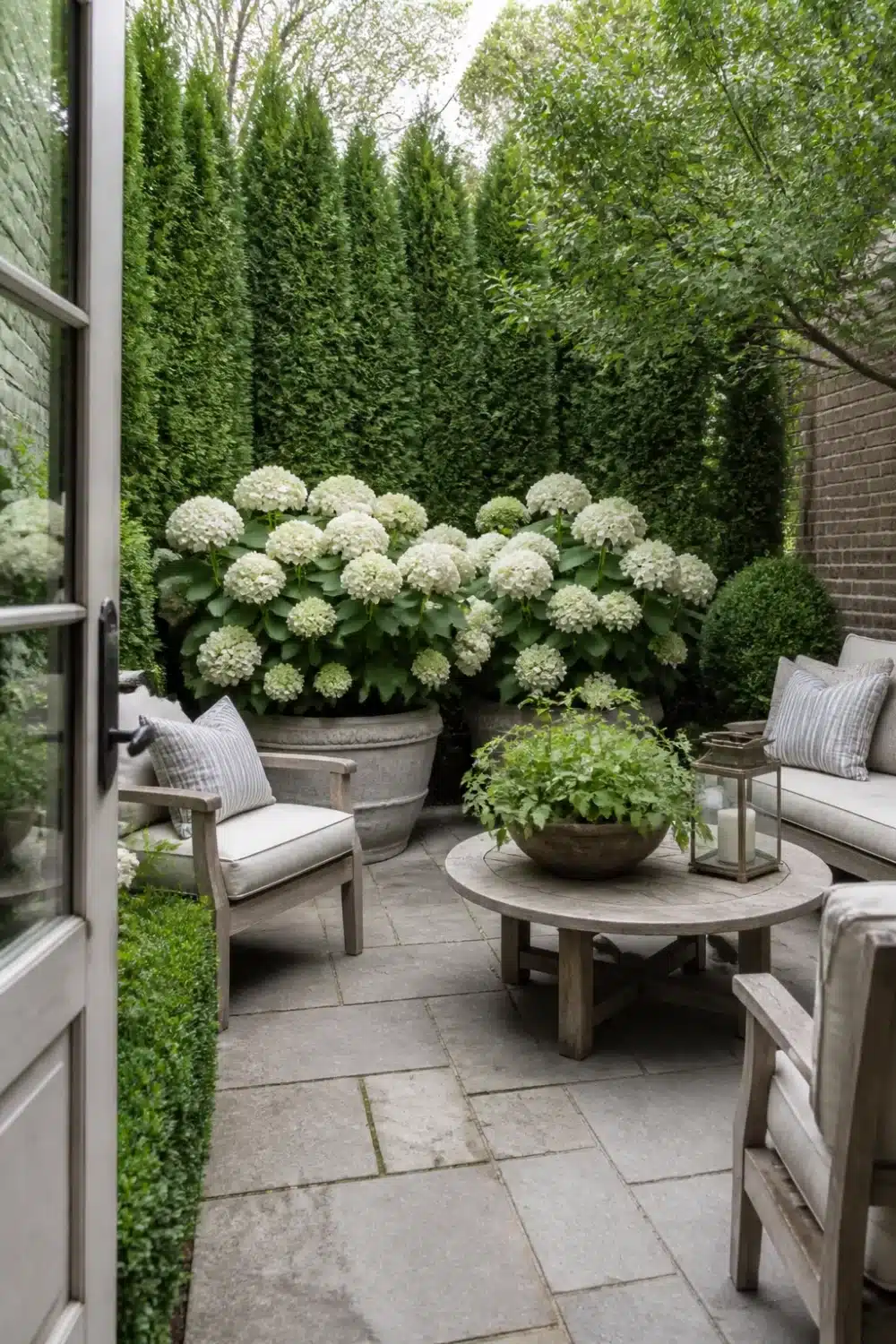 Arborvitae and hydrangea landscaping in a walled courtyard with stone pavers and potted white blooms.