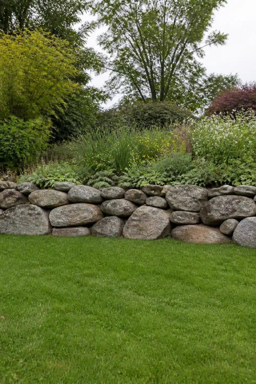 Dry-stacked field boulder retaining wall separating a green lawn from a lush perennial garden border.