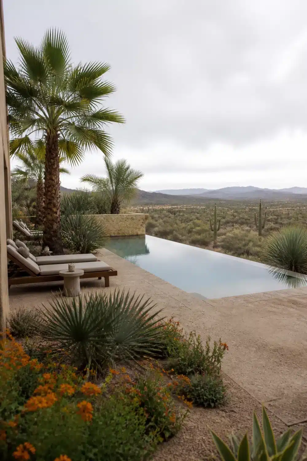 Desert oasis backyard with infinity pool overlooking a saguaro landscape, sand-tone deck, and teak loungers.