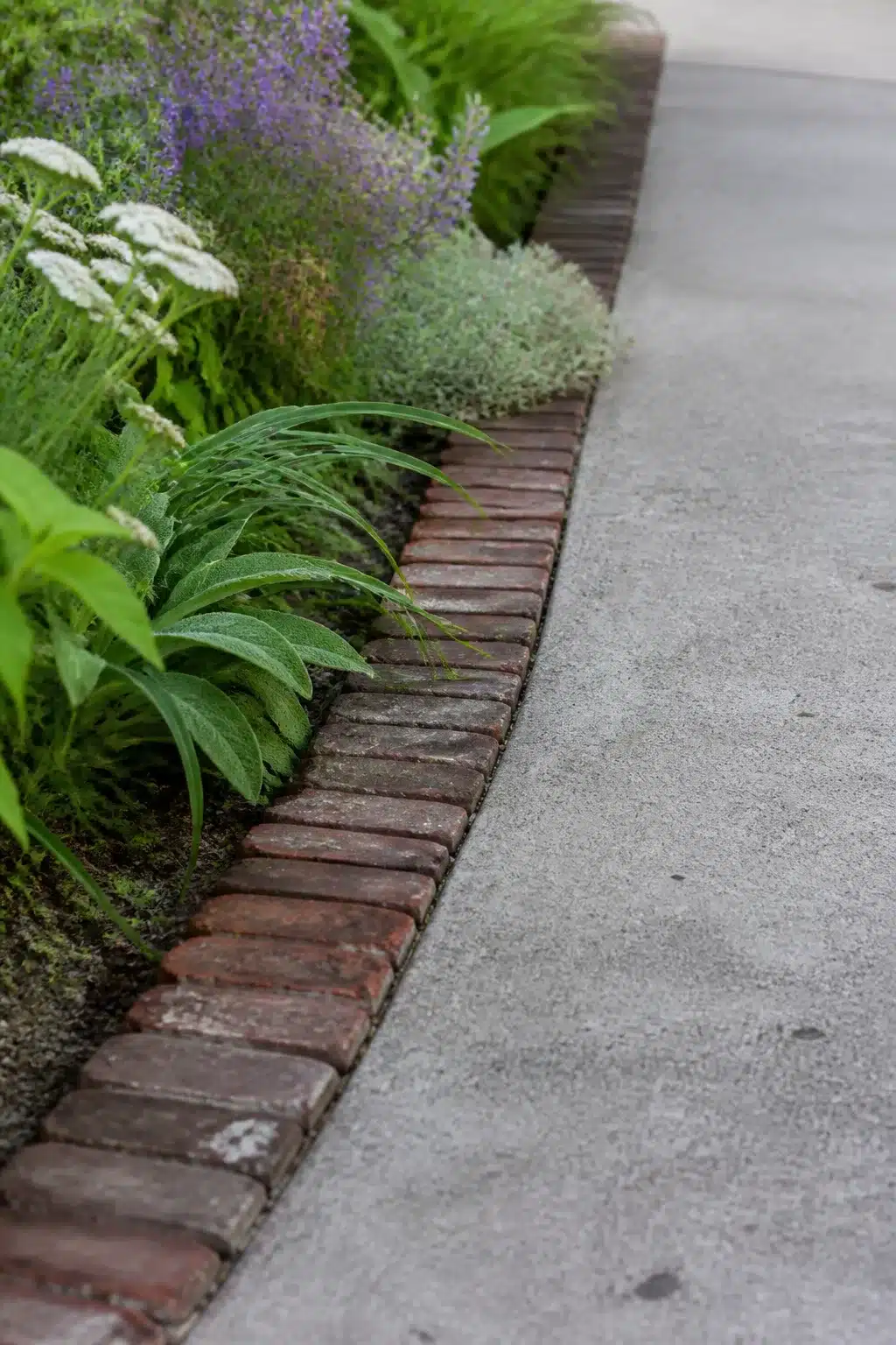 Reclaimed brick edging along a concrete driveway with perennial planting — driveway border ideas