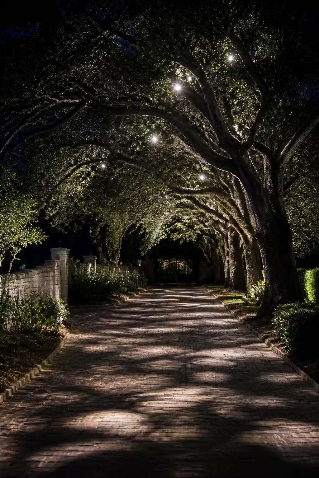 Driveway lighting ideas: moonlighting effect through tall oak canopy over brick paver driveway at night