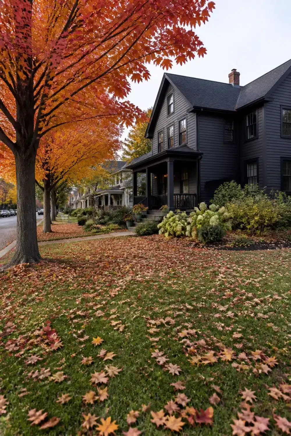 Front yard tree landscaping with a row of orange fall maples lining a sidewalk beside a dark charcoal house.